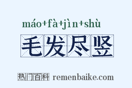 毛发尽竖是什么意思的图片